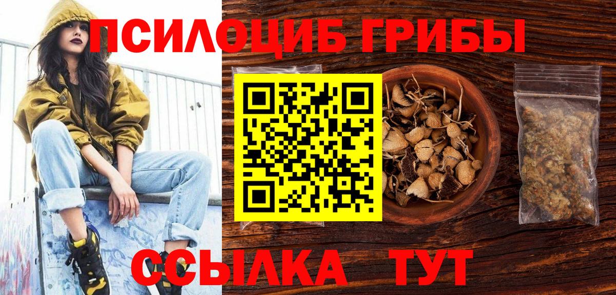 Реж  Галлюциногенные грибы прущие грибы  Вход с VPN  Галлюциногенные грибы Psilocybe 